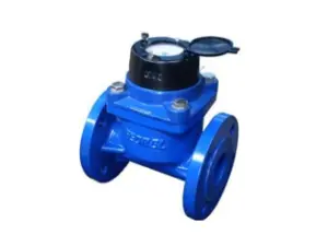 [VI-FL-WF-0003] IRRIGATION TYPE WATER METER FM-05