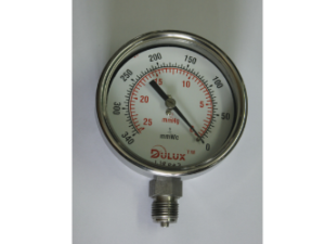 Capsule Pressure Gauge